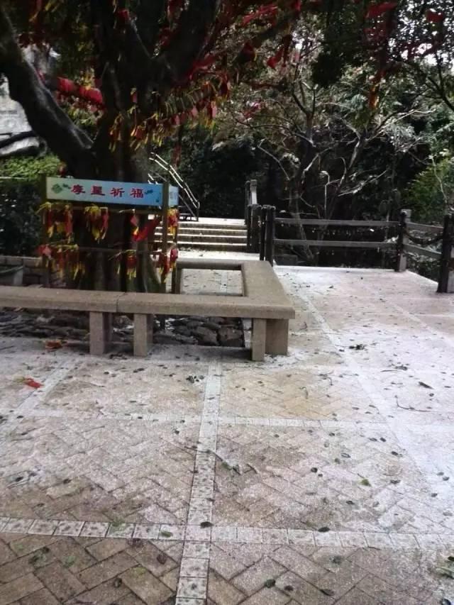 广州下雪了吗2021（下雪了绘本故事视频）