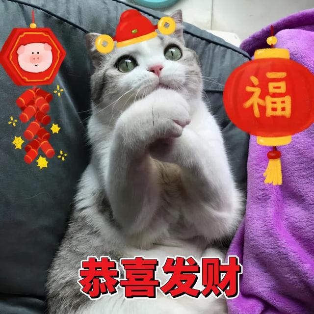 淘宝网招财猫(淘宝网招财猫多少钱)