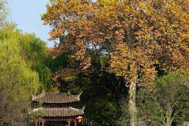 上海公园大全(上海公园一览表)