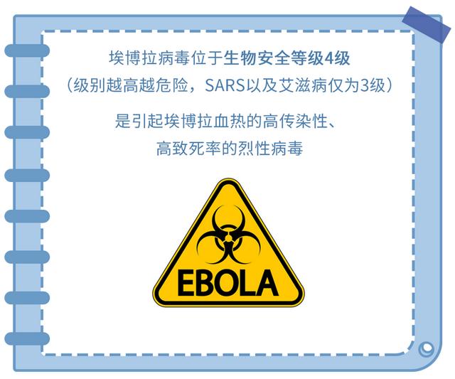 埃博拉病人融化图片(埃博拉病人融化图片贴吧)