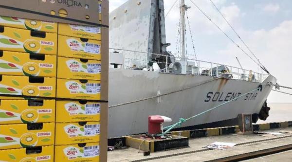 3500吨新西兰奇异果首船到港，励志果遇揪心事，在中国创业容易守业难