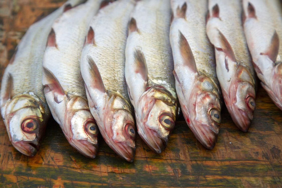 过年买鱼，优先考虑4种淡水鱼，4种海鱼，腥味小味道香，烹饪简单