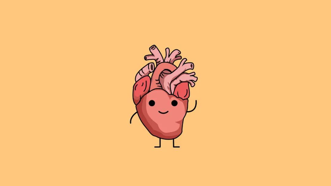 心脏为什么长在左边？与这个消失的器官密切相关