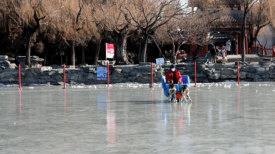 北京最大冰场今起开放，颐和园喊你来打卡！