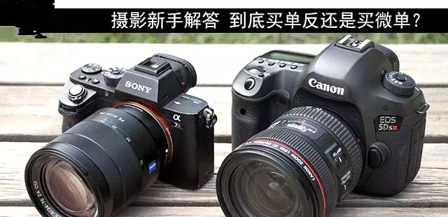 摄影新手解答，单反相机和微单相机如何选择?