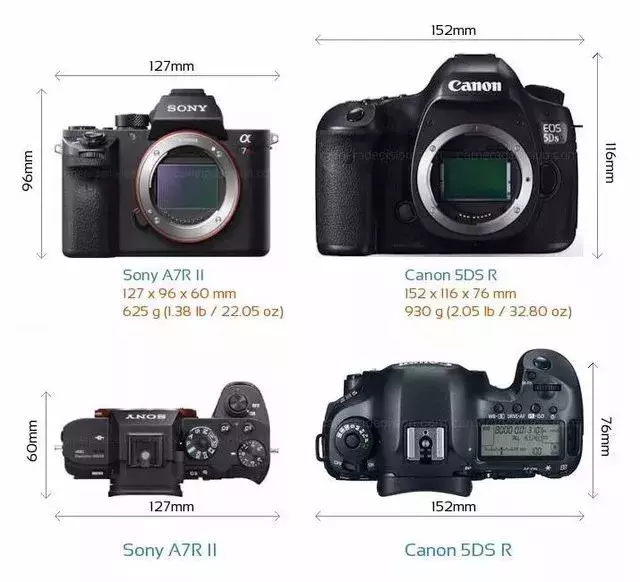 摄影新手解答，单反相机和微单相机如何选择?