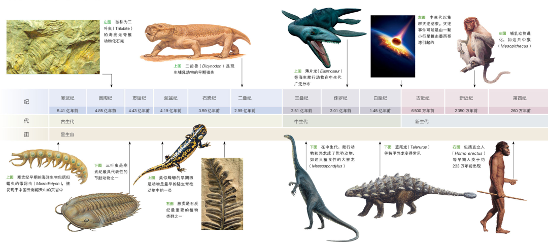 DK总编+中科院专家联手打造，世界恐龙完整指南！170多种恐龙，儿童成长必备书