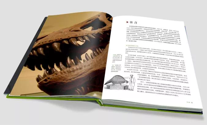 DK总编+中科院专家联手打造，世界恐龙完整指南！170多种恐龙，儿童成长必备书
