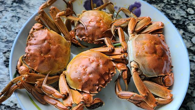 螃蟹怎么做好吃又简单方便(螃蟹怎么做好吃又简单方便螃蟹)