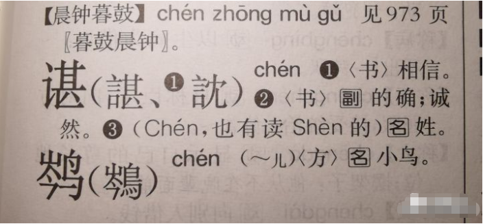 为什么谌龙的“谌”读chen，而谌利军的“谌”读shen？