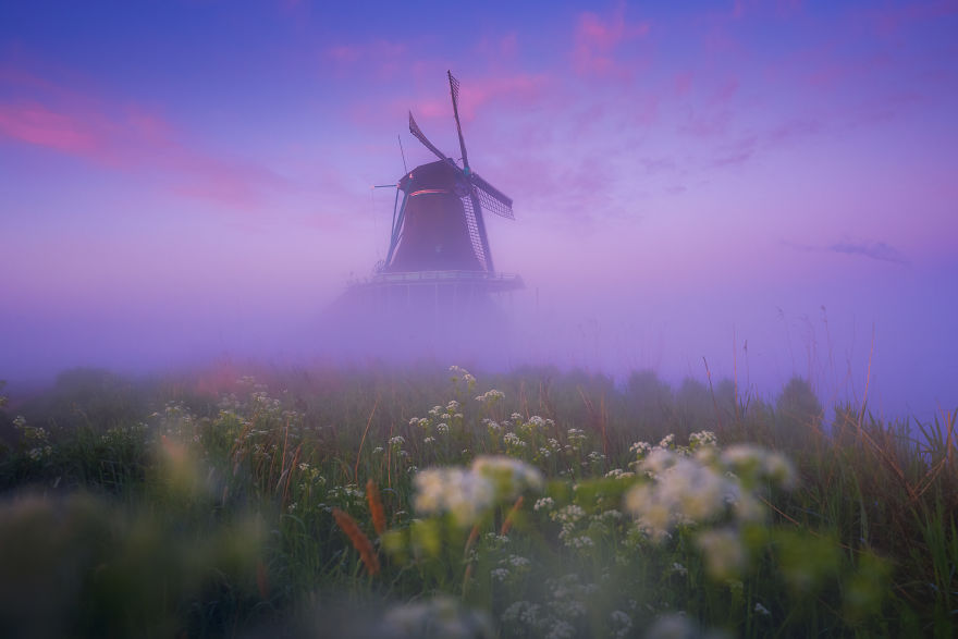 晨雾中的荷兰风车，在盛夏时节是否能给你带来一丝凉意