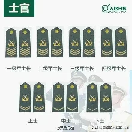 中国所有的军衔图片？中国军衔图片