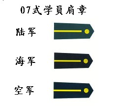 最全的中国人民解放军军衔、资历章、臂章详解